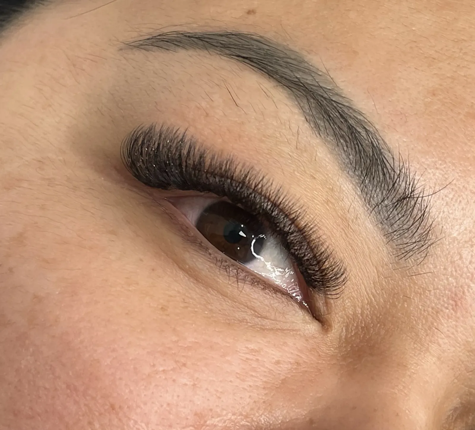 A full, fluffy set of eyelash extensions with a groomed brow